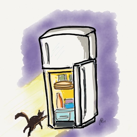 Fridge